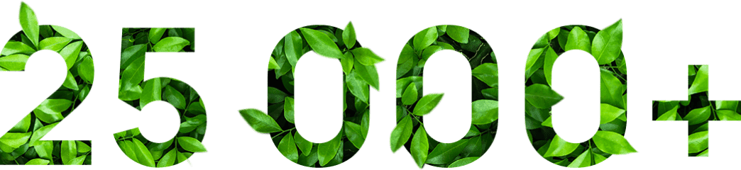 25000+