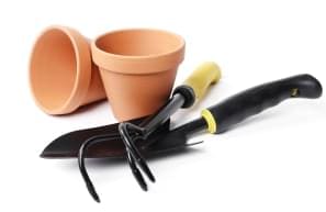 Декоративное фото