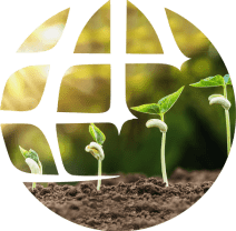 Изображение сферы