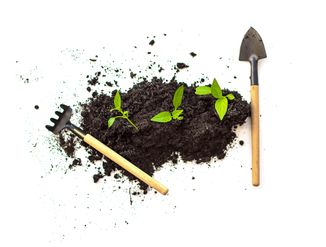 Фото инветаря